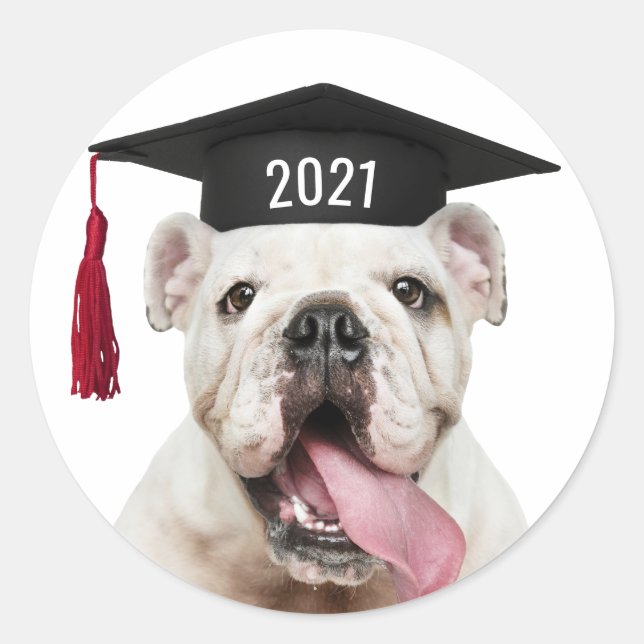 Adesivo Buldogue em Boné de formatura com Ano de Classe (Frente)