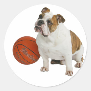 Adesivo Buldogue inglês com basquetebol