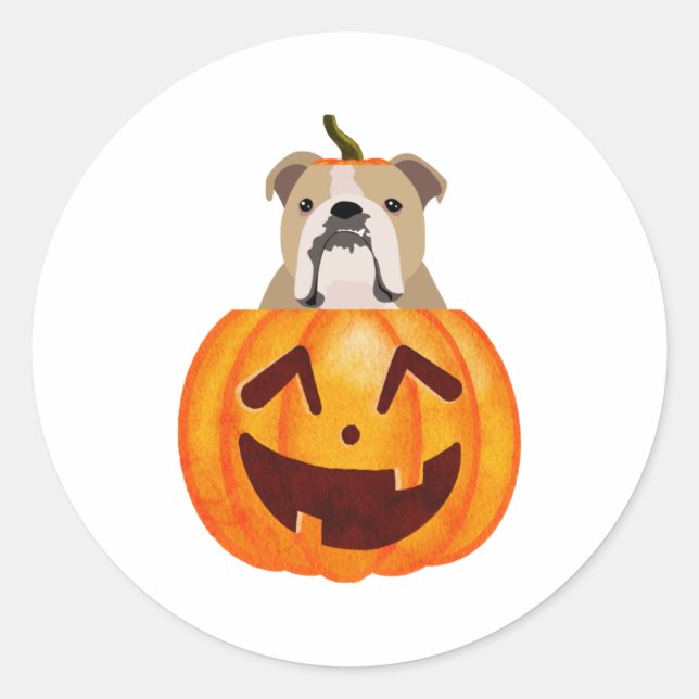 Adesivo Buldogue Pumpkin (Frente)