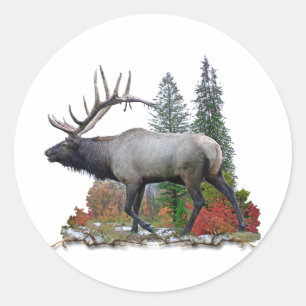 Adesivo Bull Elk