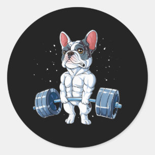 Adesivo Bulldog Francês Levantando Engraçado Giro-Morro