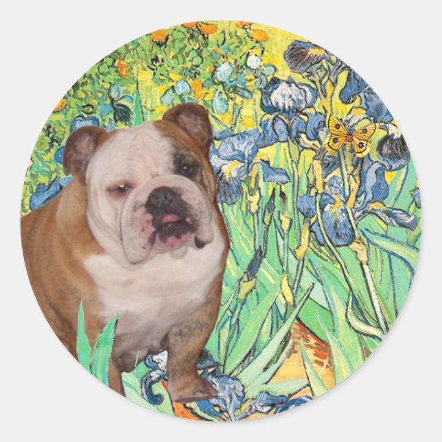 Adesivo Bulldog Inglês 1 - Íris (Frente)