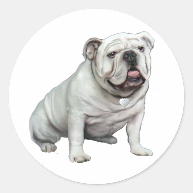 Adesivo Bulldog Inglês - Branco 1 (Frente)