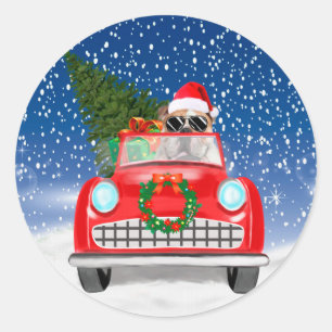 Adesivo Bulldog Inglês Dirigindo Carro na Neve Natal