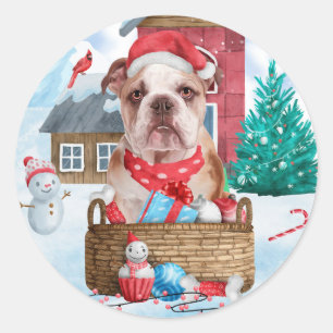 Adesivo Bulldog Inglês na Casa de Cachorro de Natal na Nev