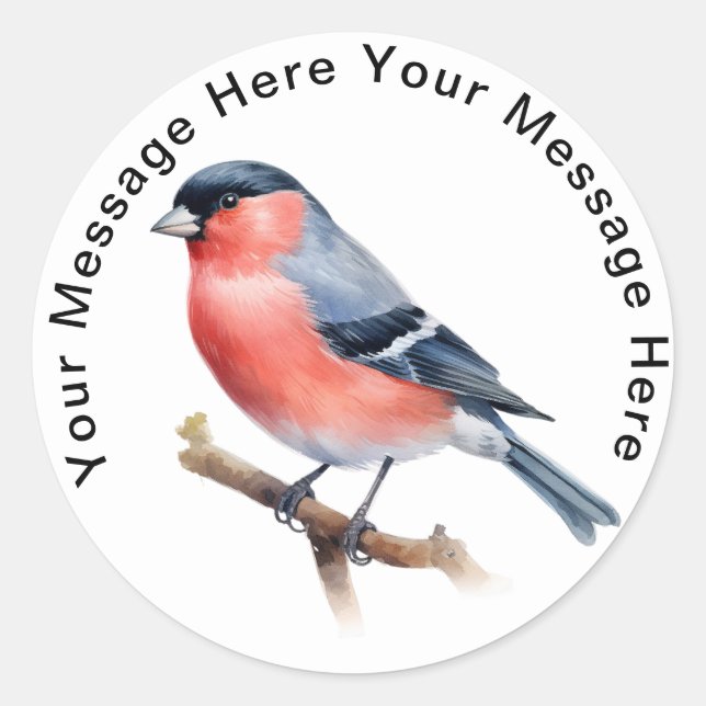 Adesivo Bullfinch (Frente)