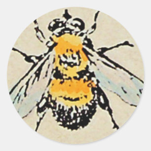 Adesivo Bumble Bee Sticker