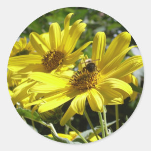 Adesivo Bumblebee e Sunflower