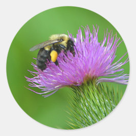 Adesivo Bumblebee Sticker
