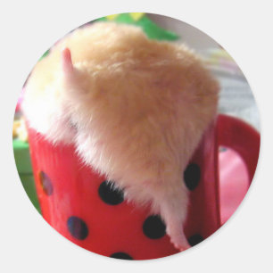 Adesivo Bumbum do hamster