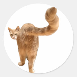 Adesivo Bumbum Floyd Sticker - Com Rosto!