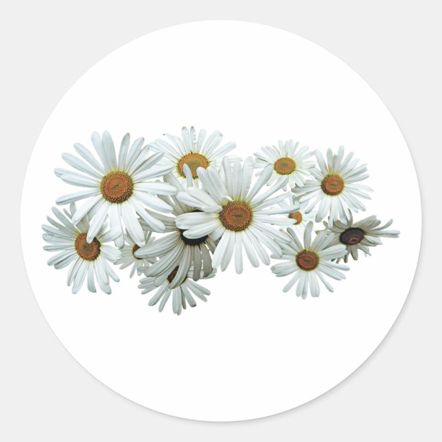 Adesivo Bunch of White Daisies (Frente)