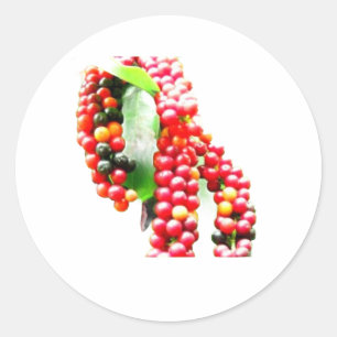 Adesivo Buni Berry - Fruta Selvagem Rara da Indonésia em S