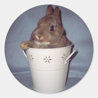 Adesivo Bunny Rabbit Sticker