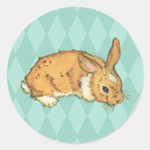 Adesivo Bunny sobre o fundo dos diamantes em aqua