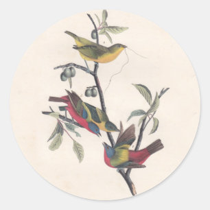 Adesivo Bunting Pintado com Áudio Antiguo
