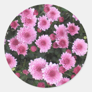 Adesivo Buquê da Natureza: Primavera