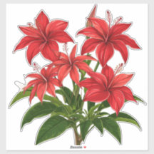 Buquê de Flores de Hibisco Vermelho Vibrante