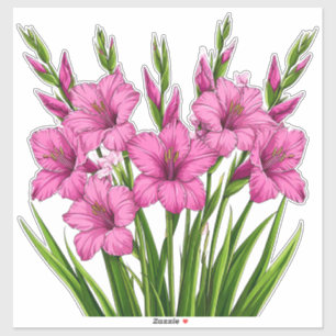 Adesivo Buquê de Gladíolo Rosa Vibrante com Folhagem Verde