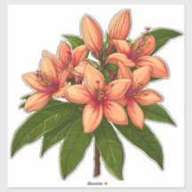 Buquê de Hibisco Laranja Brilhante