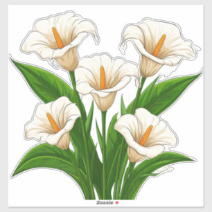 Adesivo Buquê de Lírio-de-Calla Branco com Folhas Verdes