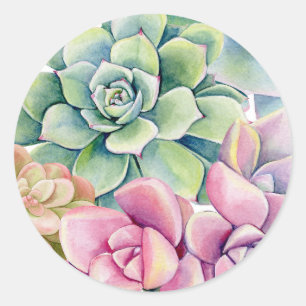 Adesivo Buquê de Suculentas Aquarela Verão