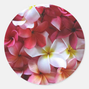 Adesivo Buquê do conjunto de flor do Plumeria