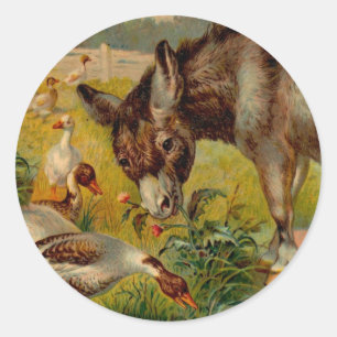 Adesivo Burro do vintage com gansos