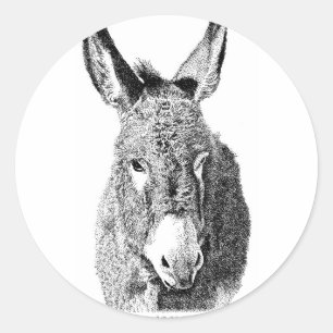 Adesivo Burro selvagem