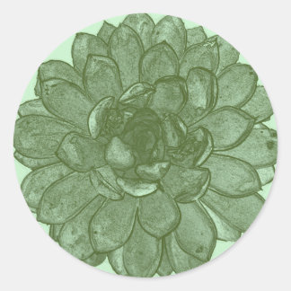 Adesivo Burst Open - Verde e azul