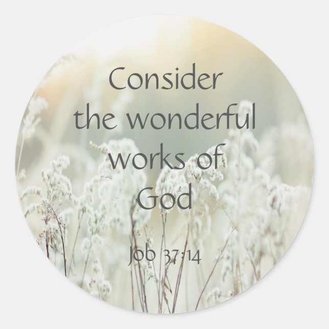 Adesivo Butterfly Inspirational Quote Garden Flowers Class (Frente)