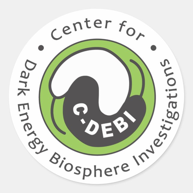 Adesivo C-DEBI Sticker - Nome do Cheio (Frente)