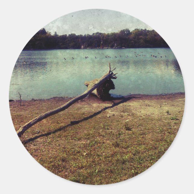 Adesivo Cabeça (Frente)