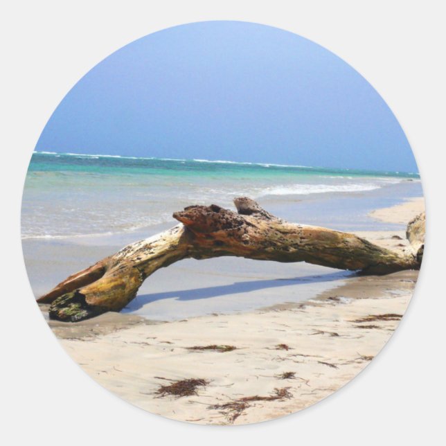 Adesivo Cabeça (Frente)