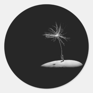 Adesivo Cabeça da semente do dente-de-leão