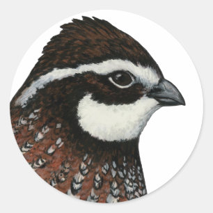 Adesivo Cabeça de Codorna Bobwhite