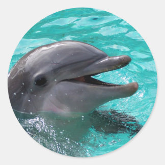 Adesivo Cabeça de golfinho em água aquamarina
