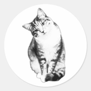 Adesivo Cabeça Inclinação Comprimida por Gato Monocromátic