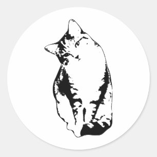 Adesivo Cabeça Inclinação Comprimida por Gato Monocromátic