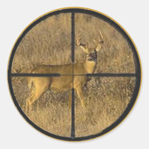 ADESIVO CABELOS TRANSVERSAIS