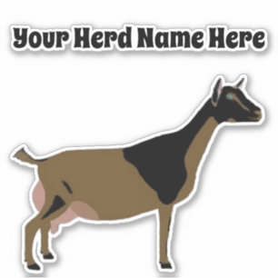 Adesivo Cabra Dairy Personalizada Nigeriana
