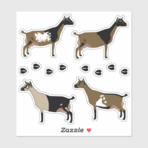 Adesivo Cabra Leiteira Nigeriana