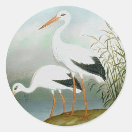 Adesivo Caça branca, Ilustrações de Aves