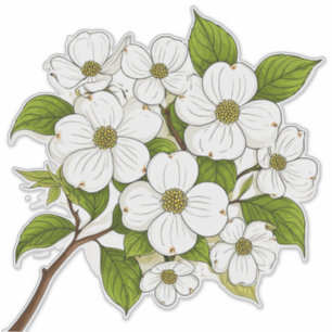 Adesivo Cacho de Flores de Corniso Branco no Ramo