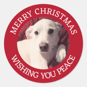 Adesivo Cachorrinho Bonito Natal Feliz Paz Vermelho