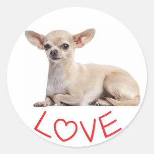 Adesivo Cachorrinho Chihuahua Fuchsia Vermelho Coração Amo