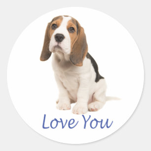 Adesivo Cachorro Beagle Fofo Amante Você Me Perdeu Amor Vo