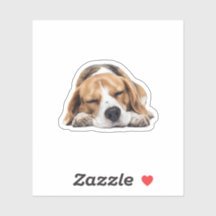 Cachorro-Beagle Sonolento - Design