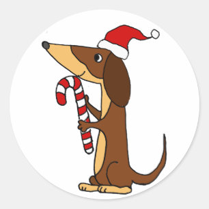 Adesivo Cachorro Bonito em Papai Noel que Cartoon de Natal
