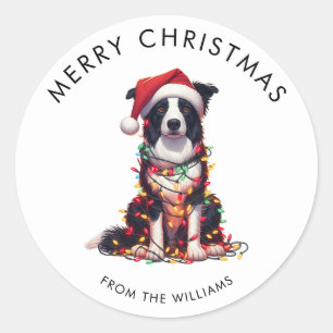 Adesivo Cachorro Border Collie Envolvido em Luzes de Natal